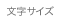 文字サイズ