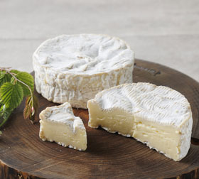 カマンベール チーズの名称 チーズ辞典 チーズクラブ 雪印メグミルク株式会社