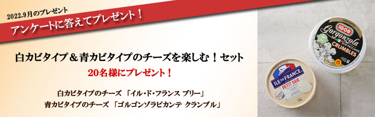 2022.9月のプレゼント アンケートに答えてプレゼント! 白カビタイプ&青カビタイプのチーズを楽しむ!セット 20名様にプレゼント! 白カビタイプのチーズ「イル・ド・フランス ブリー」 青カビタイプのチーズ「ゴルゴンゾラピカンテ クランブル」