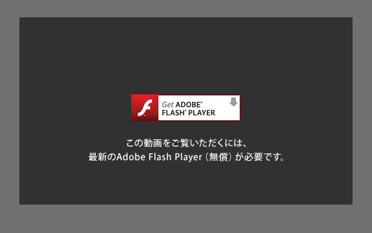 Get ADOBE FLASH PLAYER