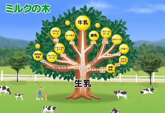 ミルクの木