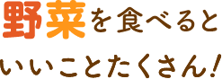 毎日の野菜足りてますか？