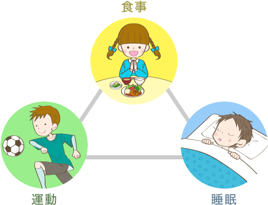 食事・運動・睡眠