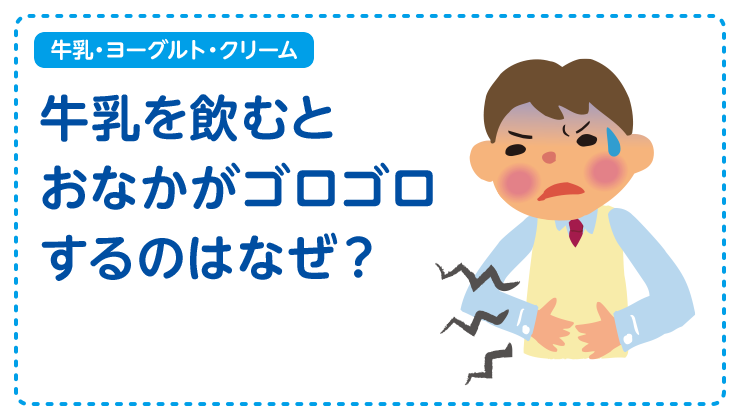 【牛乳・ヨーグルト・クリーム】牛乳を飲むとおなかがゴロゴロするのはなぜ？