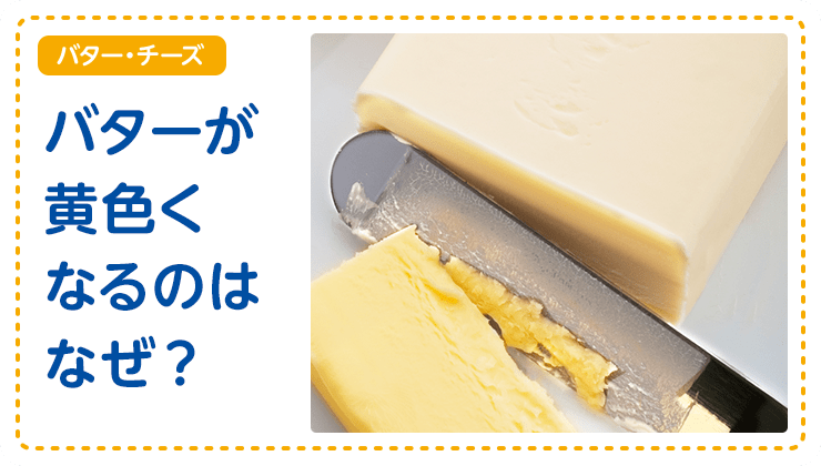 【バター・チーズ】バターが黄色くなるのはなぜ？