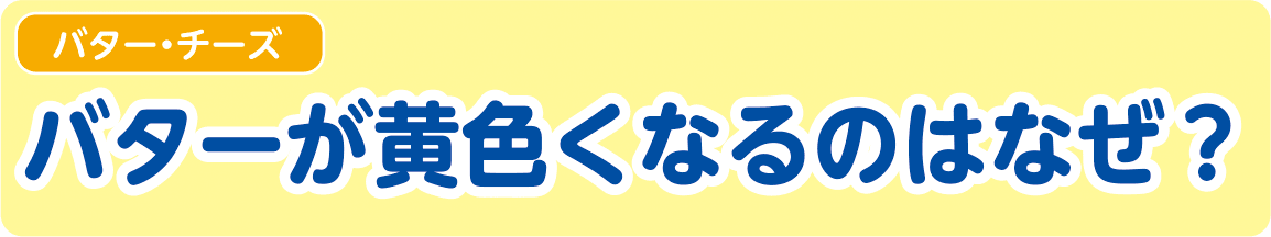 【バター・チーズ】バターが黄色くなるのはなぜ？