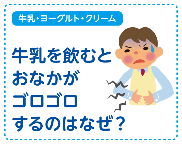 【牛乳・ヨーグルト・クリーム】牛乳を飲むとおなかがゴロゴロするのはなぜ？