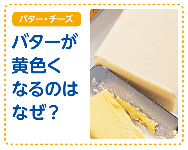 【バター・チーズ】バターが黄色くなるのはなぜ？