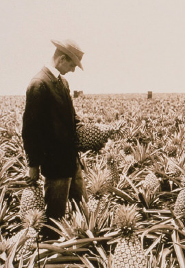 Dole®の歴史