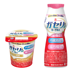 内臓脂肪・腸内環境2つの機能を持った唯一のヨーグルト「恵 megumi ガセリ菌SP株ヨーグルト」シリーズリニューアル「プレーン加糖」、「ドリンクタイプ いちご」新発売2024年10月1日（火）より全国にて