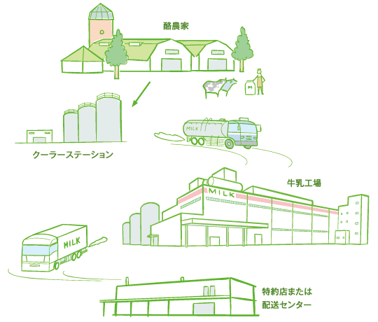 酪農家 クーラーステーション 牛乳工場 特約店または配送センター