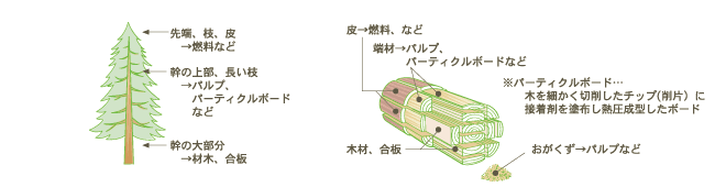 枝や端材から作られる牛乳パック