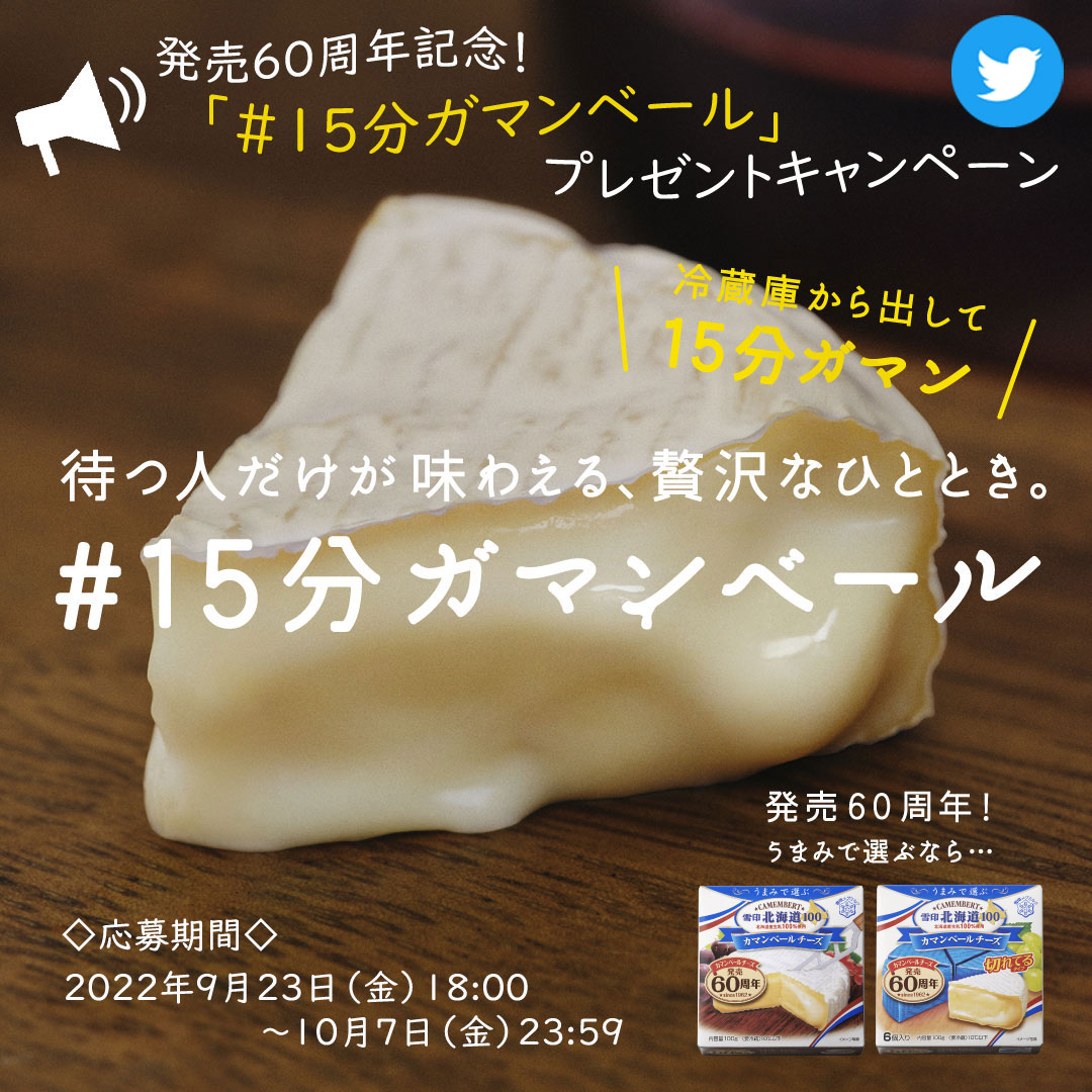 都内で 雪印メグミルク 切れてるチーズ カマンベール入り 134g 10枚×2袋 ×12個入× 2ケース 送料無料 チルド商品 チーズ 乳製品  treinamentocarreira.carperconsulting.com.br