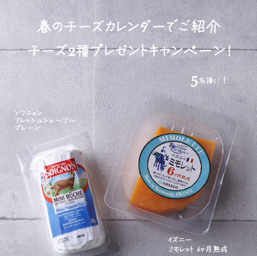 春のチーズカレンダーでご紹介 チーズ2種プレゼントキャンペーン！