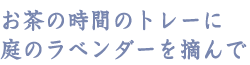 お茶の時間のトレーに庭のラベンダーを摘んで