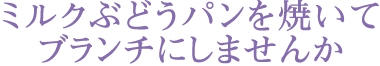 ミルクぶどうパンを焼いてブランチにしませんか