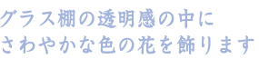 グラス棚の透明感の中にさわやかな色の花を飾ります