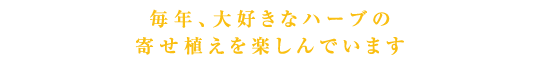 毎年、大好きなハーブの寄せ植えを楽しんでいます