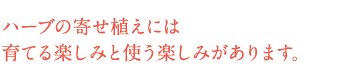 ハーブの寄せ植えには育てる楽しみと使う楽しみがあります。