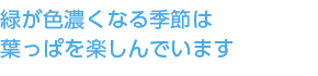 緑が色濃くなる季節は葉っぱを楽しんでいます