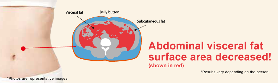 Abdominal visceral fat surface area (shown in red) decreased!