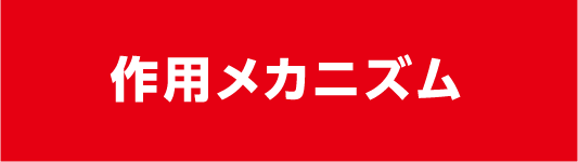 作用メカニズム