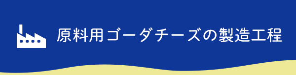 原料用ゴーダチーズの製造工程