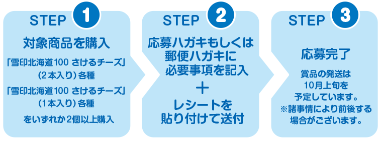 応募のステップ