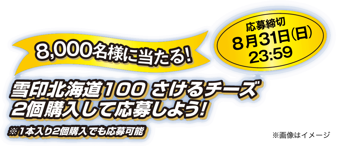 8,000名様に当たる！雪印北海道100さけるチーズ2個購入して応募しよう！