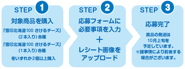 応募のステップ