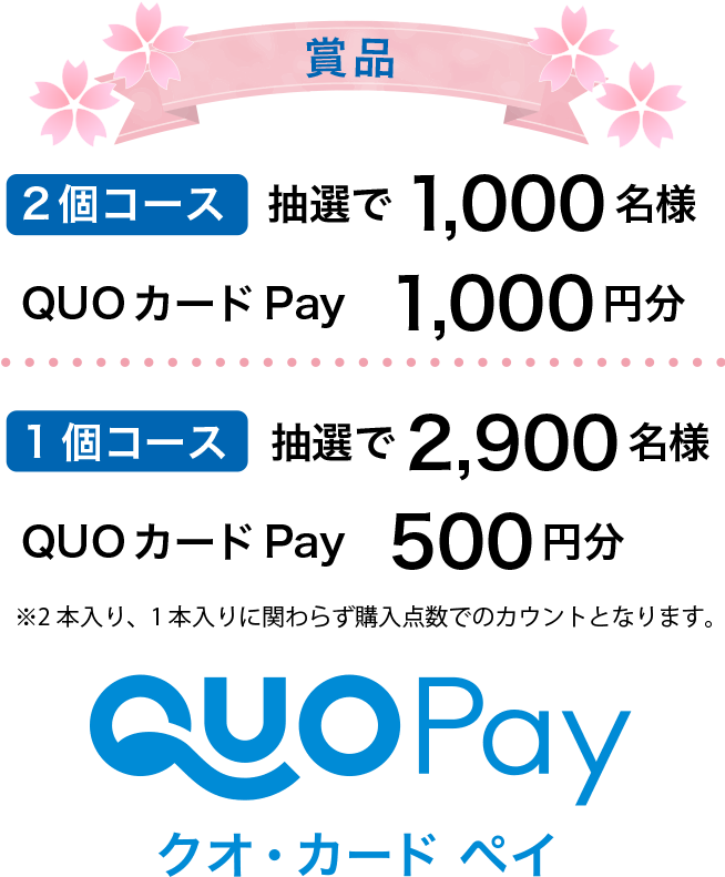 賞品　2個コース抽選で1,000名様：QUOカードPay1000円分／1個コース：抽選で2,900名様：QUOカードPay500円分