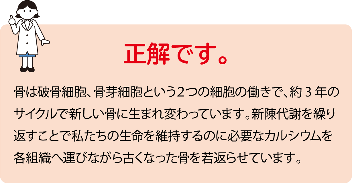 正解です。