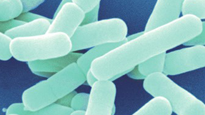 研究・開発の様子