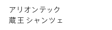 アリオンテック蔵王シャンツェ