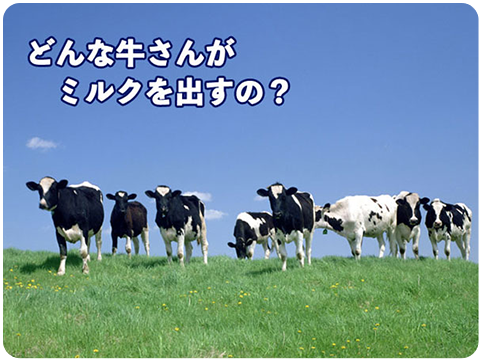 どんな牛さんがミルクを出すの？