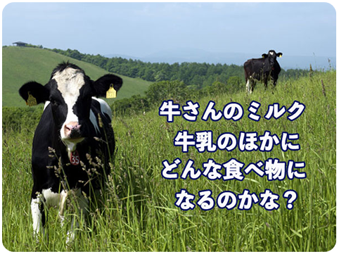 牛さんのミルク　牛乳のほかにどんな食べ物になるのかな？