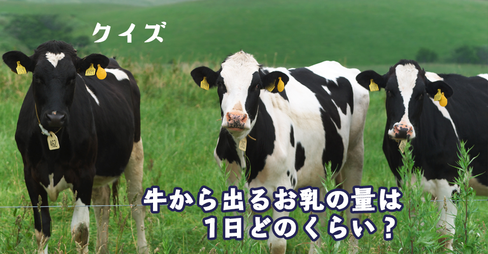 牛から出るお乳の量は1日どれくらい？​