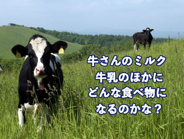 牛さんのミルク、牛乳のほかにどんな食べ物になるのかな？