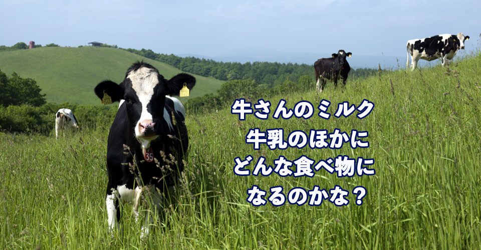 牛さんのミルク、牛乳のほかにどんな食べ物になるのかな？