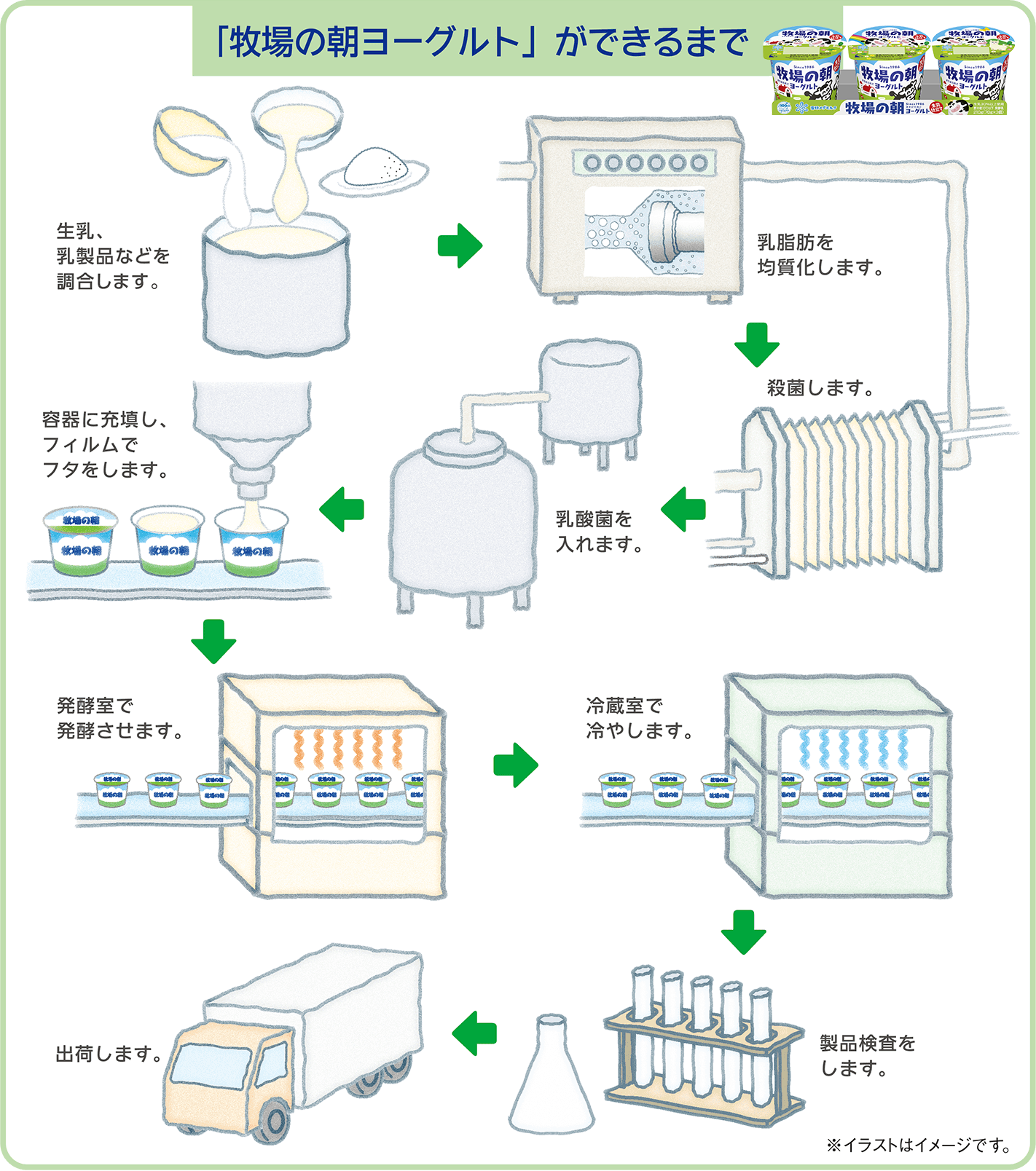 牧場の朝 ヨーグルトができるまで