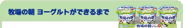 牧場の朝 ヨーグルトができるまで