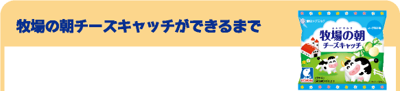 牧場の朝 チーズキャッチができるまで