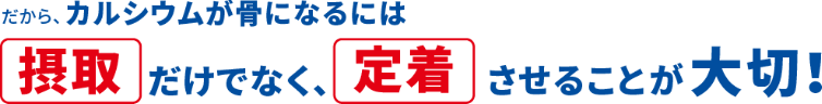 だから、カルシウムが骨になるには「摂取」だけでなく、「定着」させることが大切！