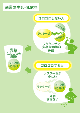 ゴロゴロ する お腹 お腹が鳴る８つの原因とは？病気の可能性も！