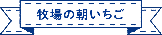 牧場の朝いちご