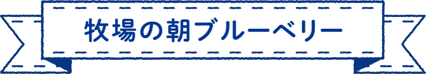 牧場の朝ブルーベリー