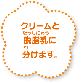 クリームと脱脂乳に分けます。