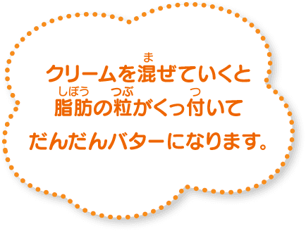 クリームを混ぜていくと脂肪の粒がくっ付いてだんだんバターになります。