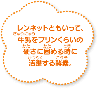 レンネットともいって、牛乳をプリンくらいの硬さに固める時に活躍する酵素。