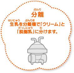 分離 生乳を分離機で「クリーム」と「脱脂乳」に分けます。